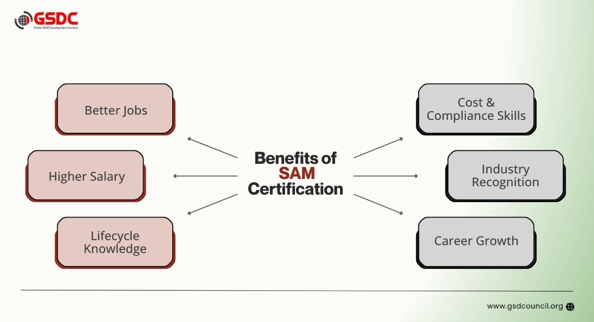 Why You Should Consider a Software Asset Management Certification
