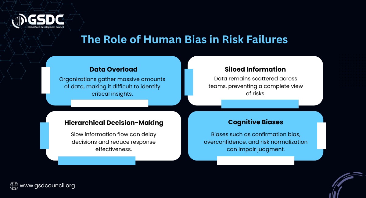 The Role of Human Bias in Risk Failures